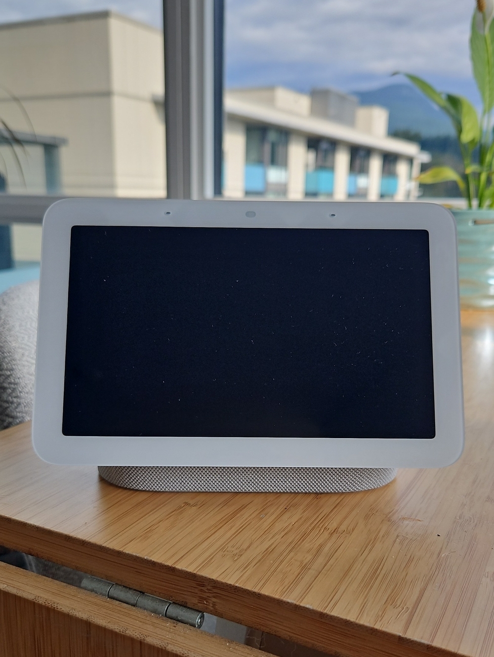 Google Nest Hub 2nd Gen